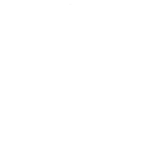 Sovereign Wealth, Agencies and Banks